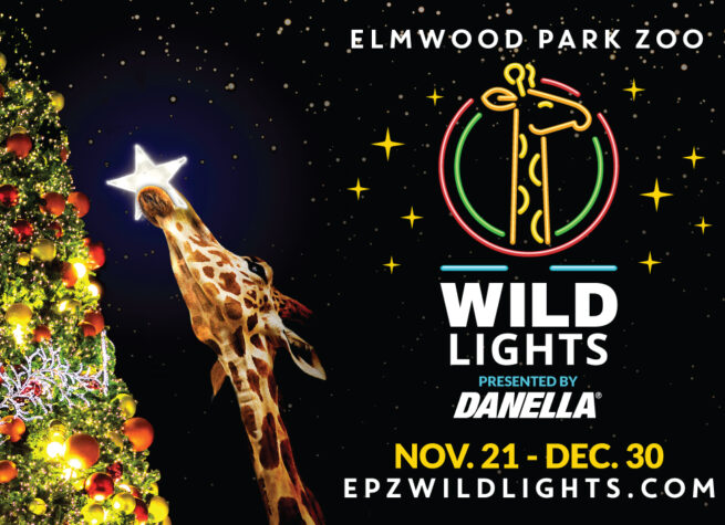 Danella Announces Presenting Sponsorship of Elmwood Park Zoo’s Wild Lights Holiday Experience